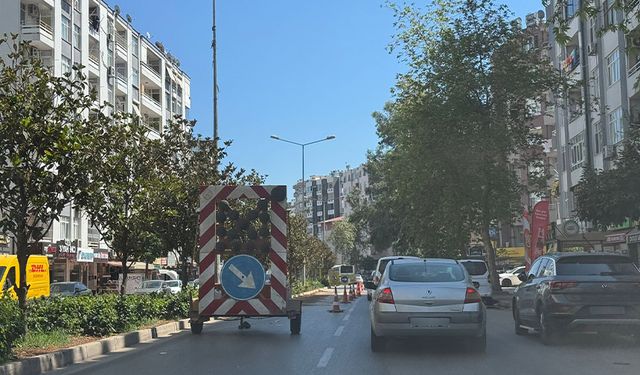 Adana’da Şaşırtan Manzara: Yeni Dikilen Fidanlar Tekrar Söküldü!