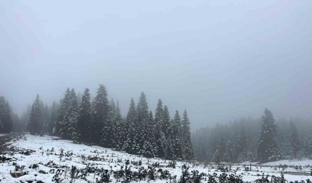 Abant Ve At Yaylası’nda Yılın İlk Karı Etkili Oluyor