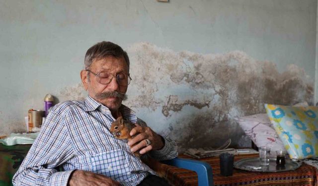 Adana’da Engelli Adamın Tek Dostu Oldu: Sincap Kibar!