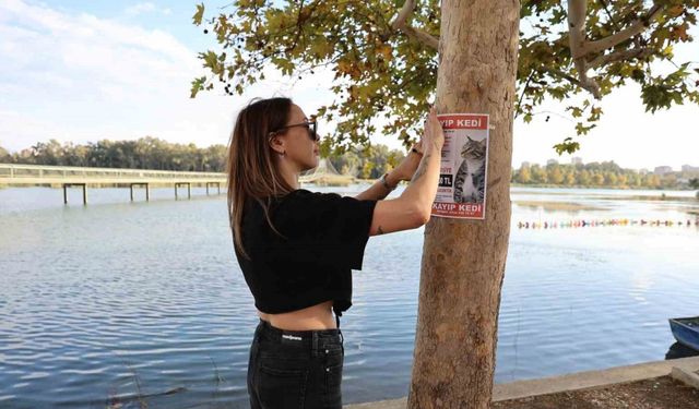 Adana’da İnanılmaz Olay! Kedisini Bulana 100 Bin Lira Verecek!