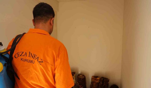 Adana’da Şaşırtan Proje: Kırmızı Reishi Mantarı Cezaevinde Yetişti!