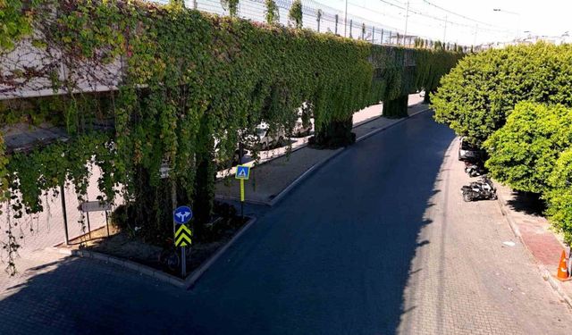 Adana’nın Gizli Cenneti! Metro Hattı Yeşile Büründü, Gören Hayran Kalıyor