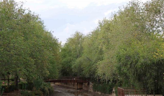 Adana’nın Tarihi Köprüsünde Su Kalmadı! Ziyaretçiler Şaşkın, Doğa Alarm Veriyor