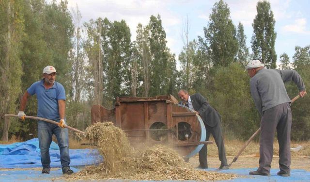 Geleneksel Fasulye Üretimi Modern Yöntemlere Meydan Okuyor