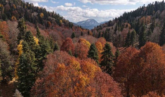 Renk Cümbüşü! Adana’nın Gizli Cenneti Sonbaharla Görsel Şölene Dönüştü