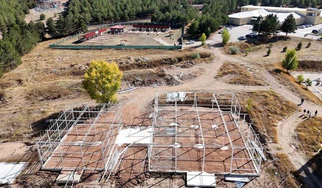 Türkiye’de Bir İlk! Yapay Zeka Artık Seralarda Üretimi Yönetecek