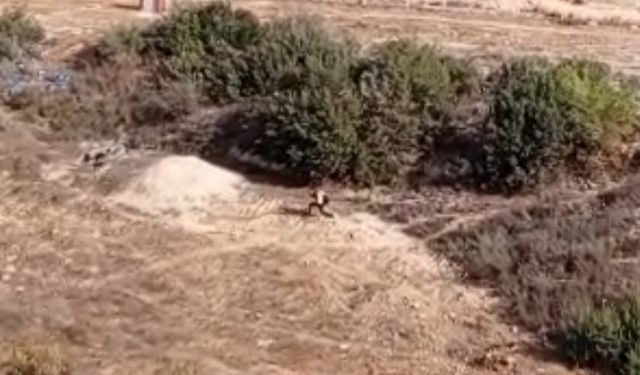 Polisin “Dur” İhtarına Uymayan Şahıs Sokak Aralarında Nefes Kesti