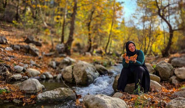 Belemedik’te Sonbahar Patlaması! Renk Cümbüşü Görenleri Büyüledi