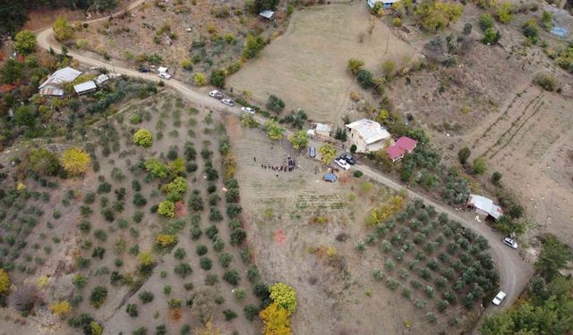 Kuraklık Vurdu! Kozan’da Safran Hasadında Büyük Kayıp