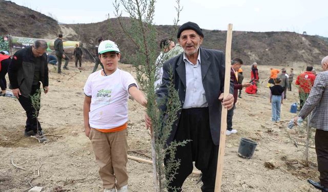 Yanan Ormanda Umut Yeşerdi: Dede Ve Torun El Ele Fidan Dikti