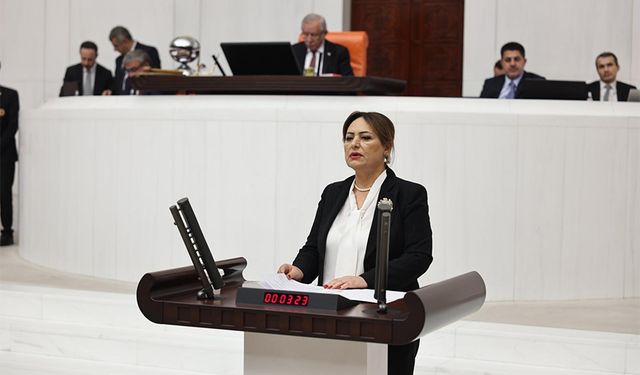 CHP’li Şevkin: “Çiftçi Kara Kara Düşünüyor”