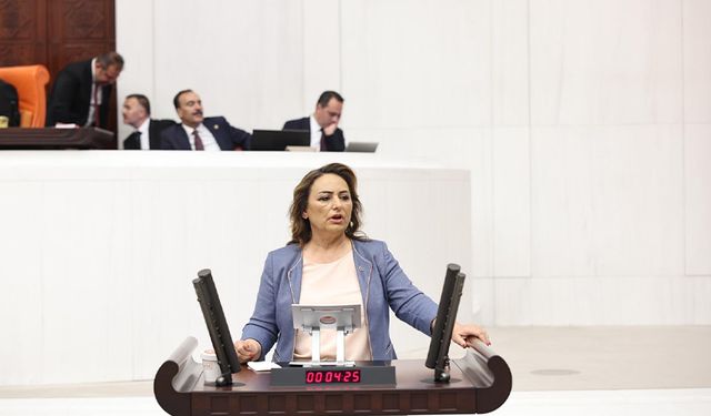 CHP’li Şevkin Pozantı’nın Çözüm Bekleyen Sorunlarını Meclise Taşıdı!