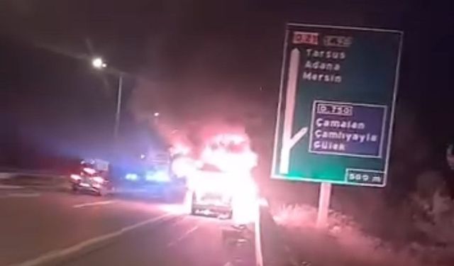 Adana Otoyolunda Alev Alev Yandı! Sürücü Canını Zor Kurtardı