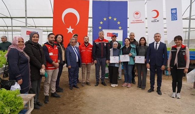 Adana’da Tarımda Yeni Dönem: Topraksız Marul Üretimi Başladı