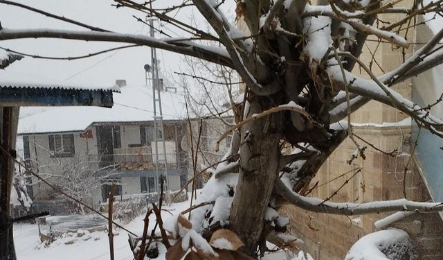 Tufanbeyli’de Kar Sürprizi: İlçe Beyaza Büründü