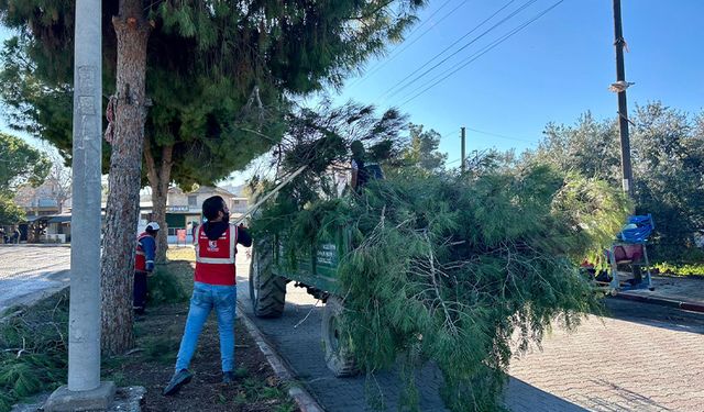 Ceyhan Belediyesi’nden Sarımazı’da Dev Temizlik Operasyonu