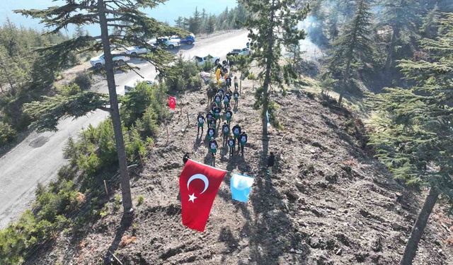 Feke’de Geleceğe Nefes: Sedir Tohumları Toprakla Buluştu