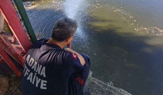 Adana’da Doğa Alarm Veriyor! Seyhan Nehri’nde Balıklar Kitlesel Olarak Ölüyor!