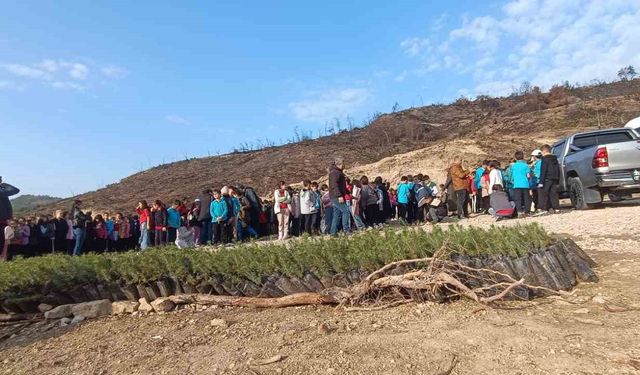 Kozan’da Minik Yüreklerden Büyük Dokunuş: Yangın Bölgesi Yeşeriyor