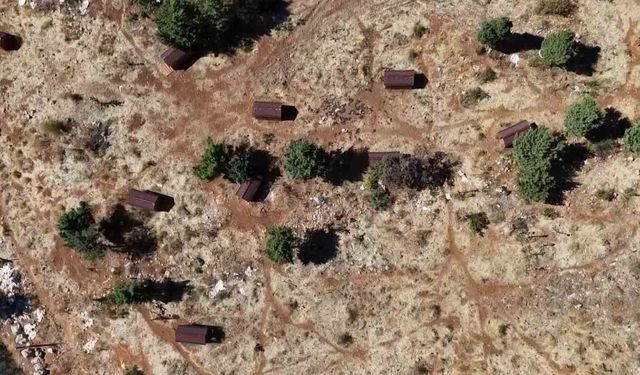 Saimbeyli’de Örnek Proje: Sokak Hayvanları İçin Barınak Açıldı