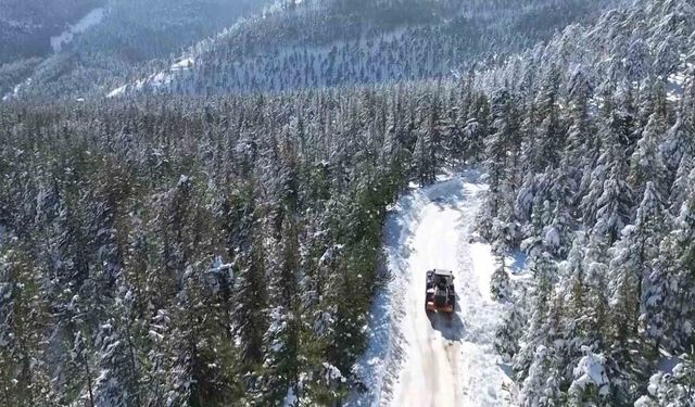 Adana’da Sibirya Soğuğu: Feke’de Kar Kalınlığı 1 Metreyi Aştı