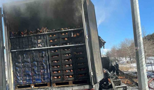 Adana Otoyolunda Dehşet Anları! Narenciye Yüklü Tır Alev Alev Yandı