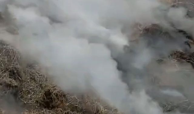 Adana’da Korkutan Yangın: Samanlık Küle Döndü