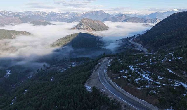 Kızılçamlar, Kar ve Sis Bir Arada: Feke’de Büyüleyen Manzara