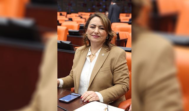 CHP’li Şevkin Meclis’te İsyan Etti: “80 Yaşındaki Yurttaş Hâlâ Tapu Alamıyor”