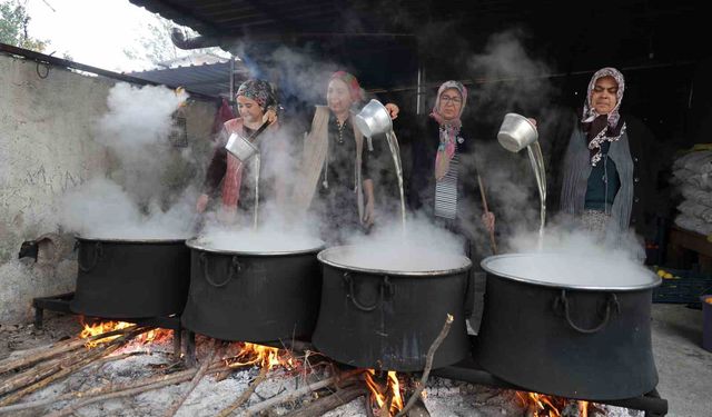 Tarlada 5 TL, Kavanozda 300 TL: Turunç Ekonomiye Kazandırıldı