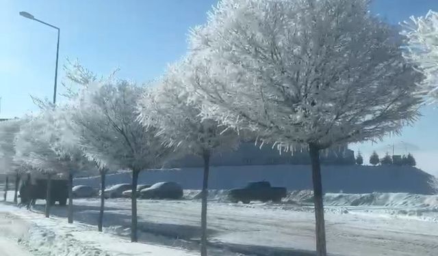 Adana’da Eksi 20 Derece: Tufanbeyli Beyaza Büründü