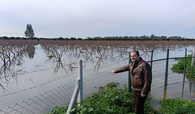 45 Günde 1,5 Yıllık Yağış! Çukurova’da Tarım Alarm Veriyor