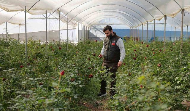 Güller Dalında Kurudu, Sevgililer Günü Cep Yakacak