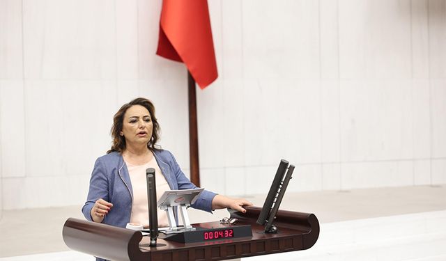 CHP’li Şevkin’den Kritik Hamle: İkramiye Asgari Ücrete Bağlansın