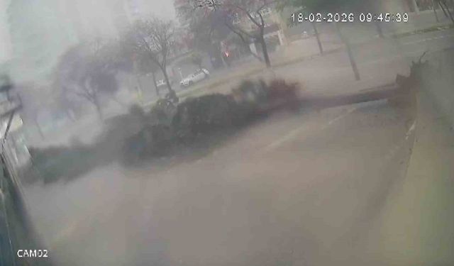 Adana’da Fırtına Dehşeti! Ağaçlar Peş Peşe Böyle Devrildi