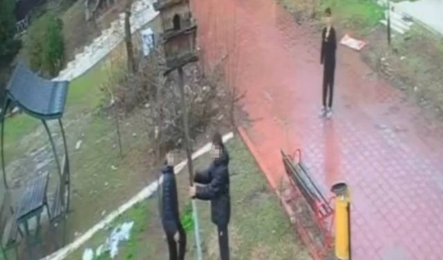 Adana’da Kuş Yuvasını Parçalayan Çocuklara Ev Hapsi