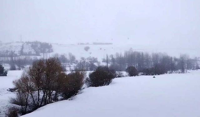 Tufanbeyli’de Masalsı Manzara: Kar İlçeyi Teslim Aldı