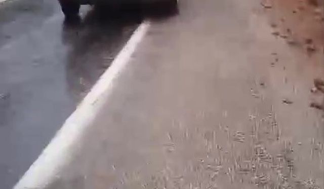 Aynı Nokta, Aynı Tehlike: Facia Ucuz Atlatıldı