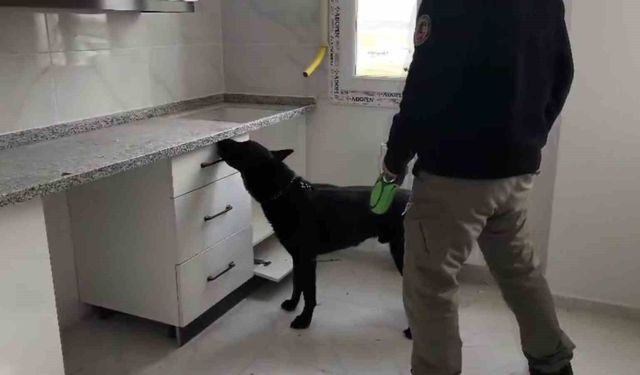 Adana’da Şok Operasyon: 72 Bin Hap Ele Geçirildi