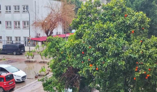 Adana’da Bayramda Hava Sürprizi: Yağış ve Serinlik Kapıda