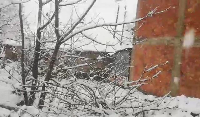 Mart Ayında Kar Sürprizi! Adana Beyaza Büründü