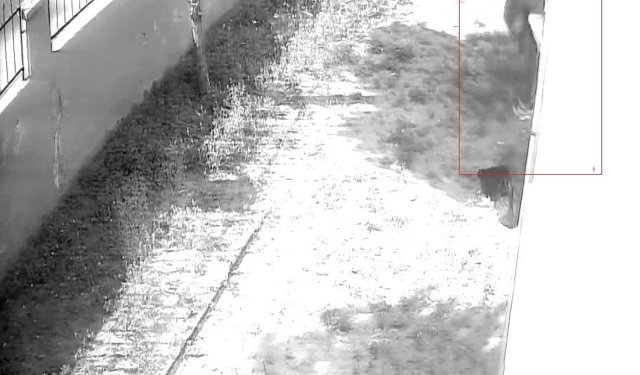 Film Sahnesi Gibi Hırsızlık: Tırmanarak Eve Girdi