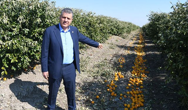 CHP’li Ayhan Barut’tan Limonda Sert Tepki: “Bu Karar Üreticiye Darbedir!”