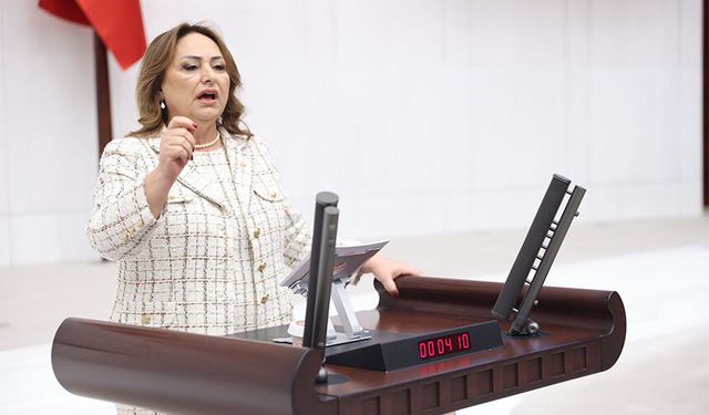 CHP’li Şevkin’den Meclise Dikkat Çeken Önerge: “Vatandaşın Tapusu Var Ama Tasarrufu Yok”