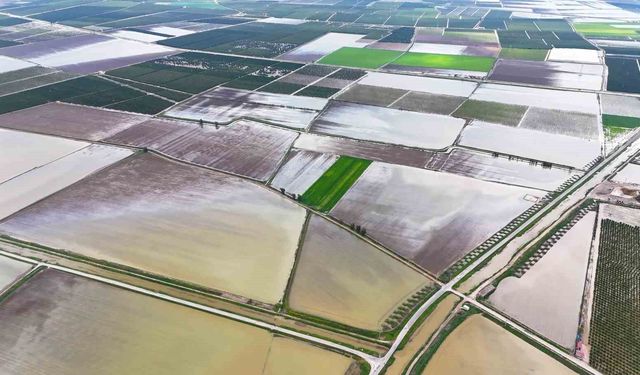 Adana’da Felaket! Binlerce Dönüm Tarla Sular Altında