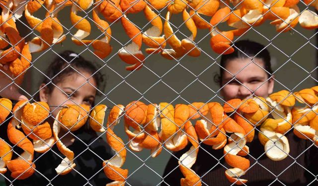 Turunç ve Limon Kabuğu Gelir Kapısı Oldu!