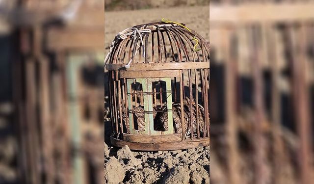 Özgürlüklerine Kavuştular