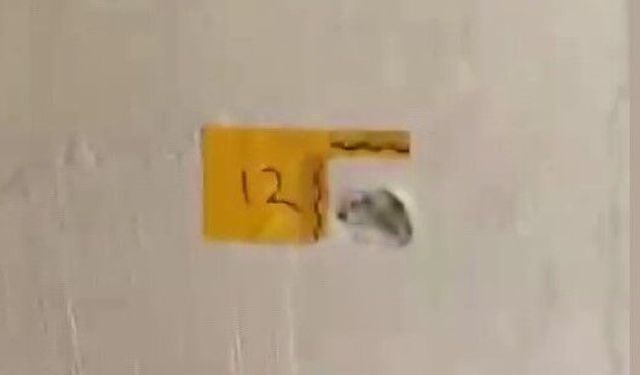 Kendilerini Polis Olarak Tanıttılar, Evde Kaos Yarattılar!