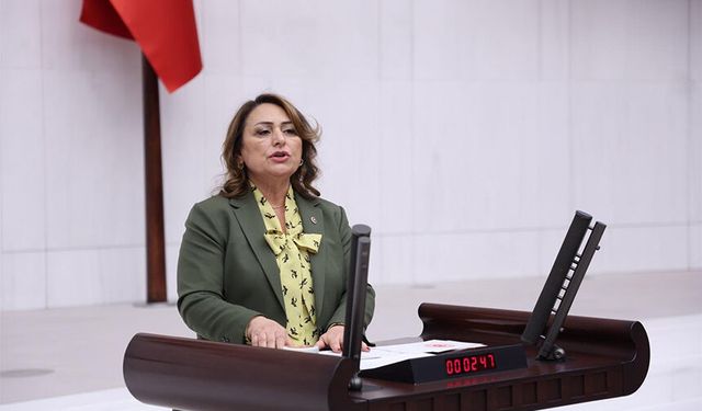 Seçilmiş İrade Görevine Dönmeli