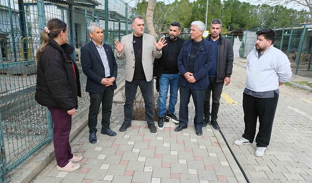 Sosyal Medyada Gündem Olan Yavru Köpek İddiası Çürütüldü: “Açlıktan Değil, Doğal Davranış”